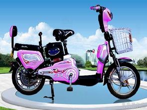 供應全新原裝新日電 新日電動車 飛越2號