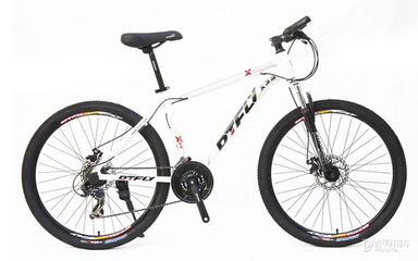 dtfly是什么牌子自行車(chē)