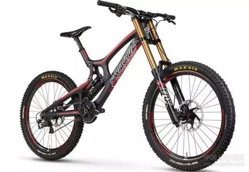 三鄉(xiāng)有人撞上一輛價值估計(jì)近兩萬元的 天價 自行車 這年頭,自行車都惹不起