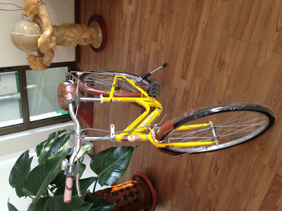 【天津市濮琪自行車】價格,廠家,圖片,自行車,天津市濮琪自行車-