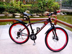 自行車尺寸解讀 XS、S、M、L 的意義及其在電動自行車制造中的應用